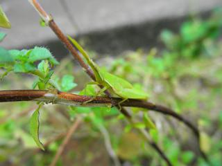 2011_08260151.jpg