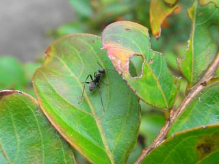 2011_08260164.jpg