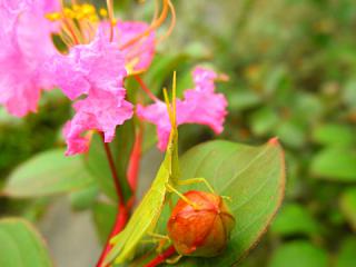 2011_08260168.jpg