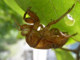 2011_08270242.jpg