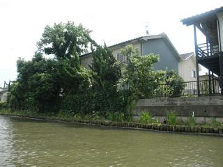 2011_08270265.jpg