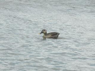 2011_08270272.jpg