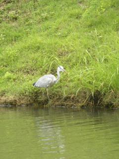 2011_08270275.jpg