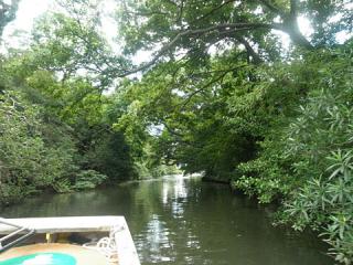 2011_08270281.jpg