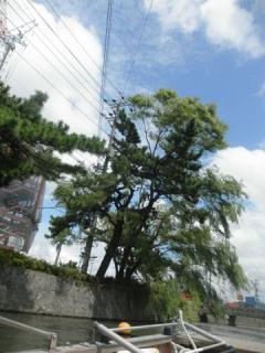 2011_08270326.jpg