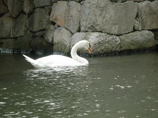 2011_08270378.jpg