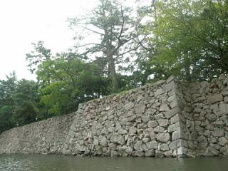 2011_08270382.jpg