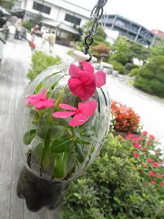 2011_08270410.jpg