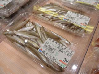 2011_08280466.jpg