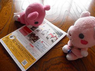 2011_08300547.jpg
