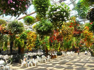 2011_08300613.jpg
