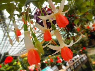 2011_08300621.jpg