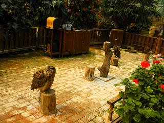 2011_08300623.jpg