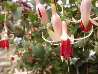 2011_08300668.jpg
