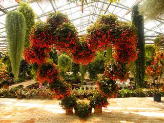 2011_08300675.jpg