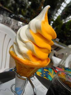 2011_08300678.jpg