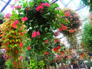 2011_08300695.jpg