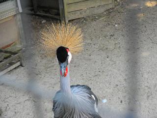 2011_08300704.jpg