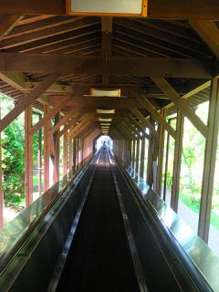 2011_08300713.jpg