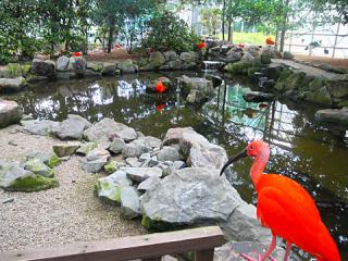 2011_08300740.jpg