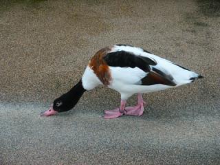 2011_08300752.jpg