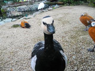 2011_08300760.jpg