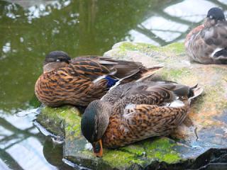2011_08300764.jpg