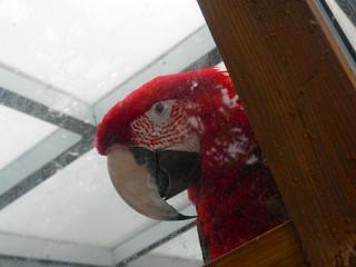 2011_08300785.jpg