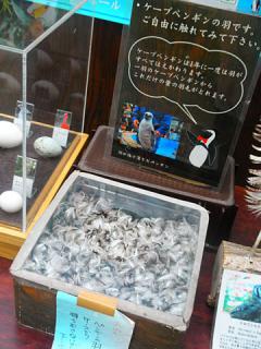 2011_08300798.jpg