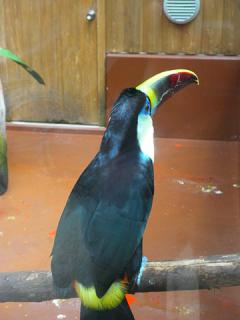 2011_08300820.jpg