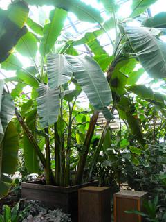 2011_08300837.jpg