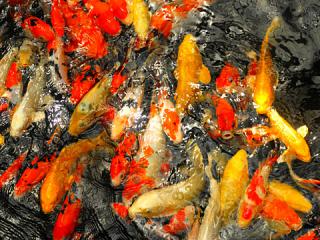 2011_08300843.jpg