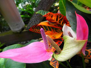 2011_08300848.jpg