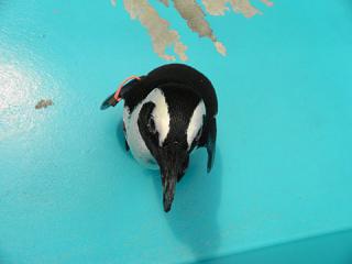 2011_08300860.jpg