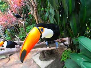 2011_08300867.jpg