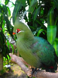 2011_08300879.jpg