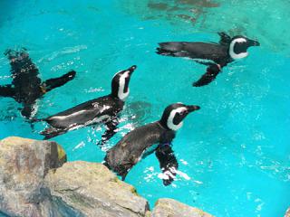2011_08300904.jpg