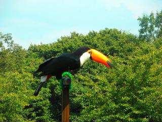 2011_08300919.jpg