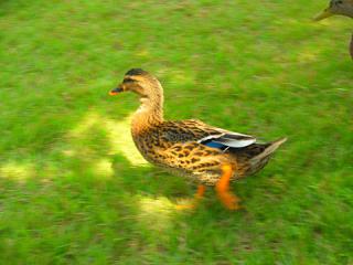 2011_08300952.jpg