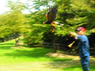 2011_08300971.jpg