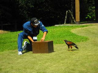 2011_08300975.jpg