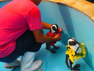 2011_08300991.jpg