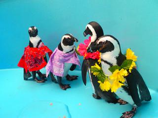 2011_08300995.jpg