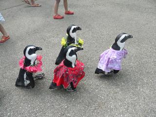 2011_08301008.jpg