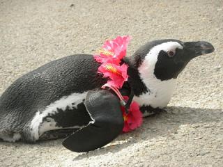 2011_08301029.jpg