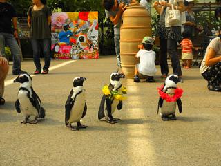 2011_08301031.jpg