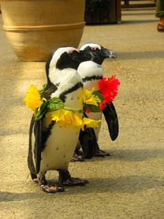 2011_08301035.jpg