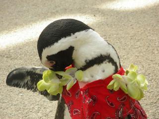 2011_08301046.jpg