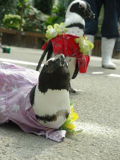 2011_08301052.jpg