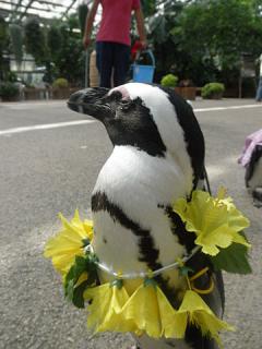 2011_08301061.jpg
